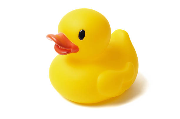 Bild von einer Ente